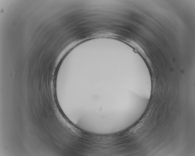 X0000066080947200603311932