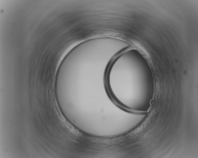 X0000066080948200603311932