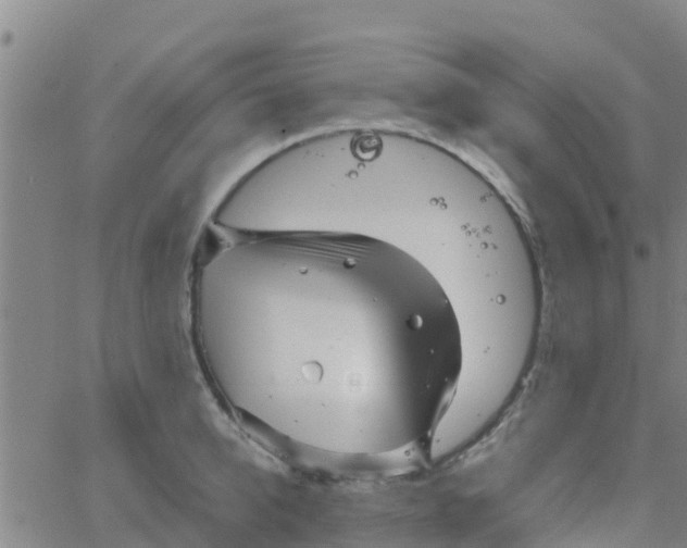 X0000066080950200603311932