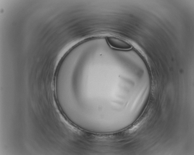 X0000066080951200603311932