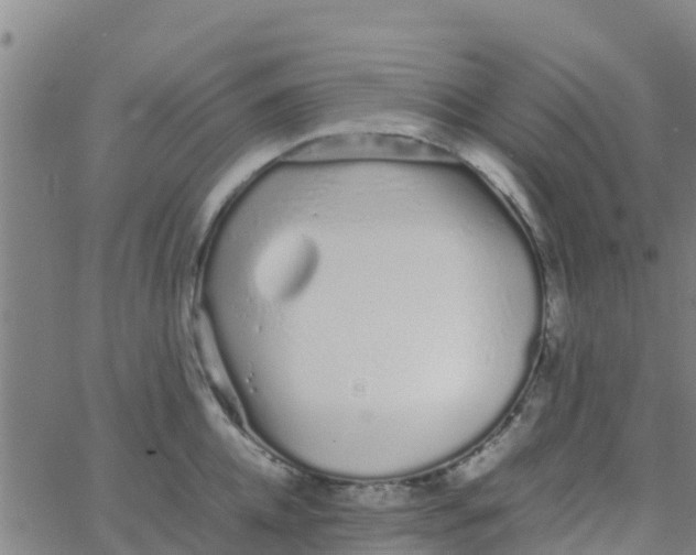 X0000066080952200603311932