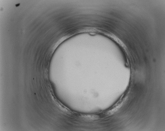 X0000066080953200603311932