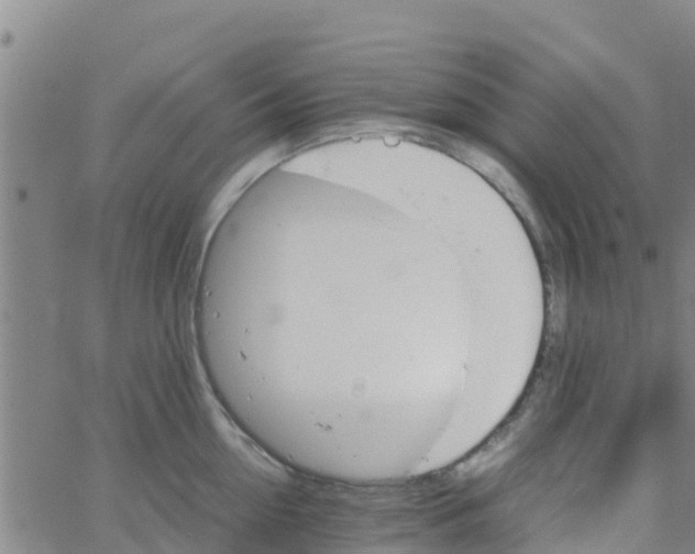 X0000066080954200603311932