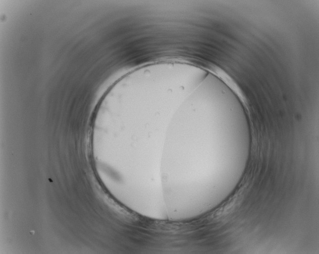 X0000066080955200603311932