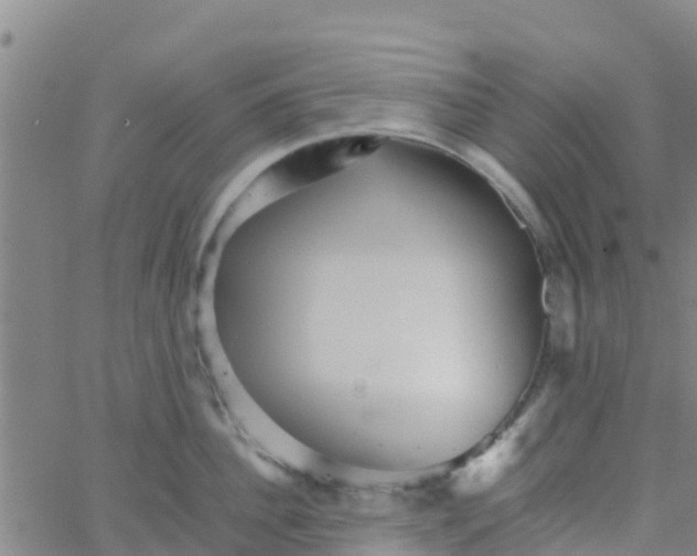 X0000066080956200603311932