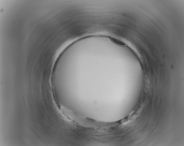 X0000066080959200603311932