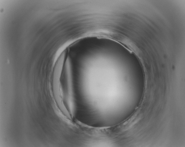 X0000066080960200603311932