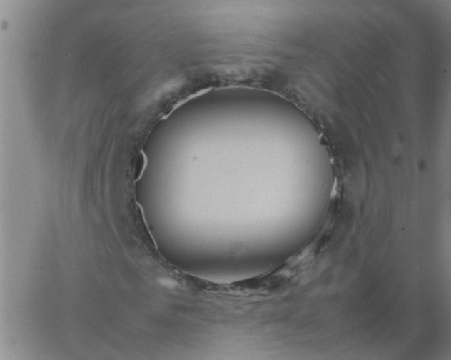 X0000066080961200603311931