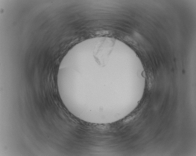 X0000066080962200603311931