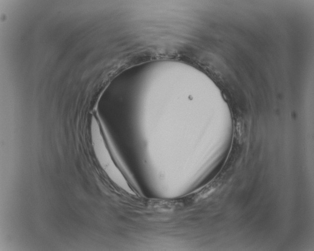 X0000066080963200603311931