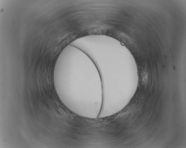 X0000066080964200603311931