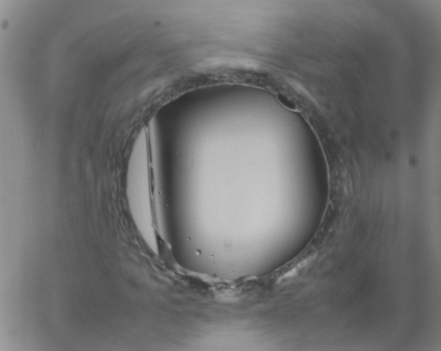 X0000066080965200603311931