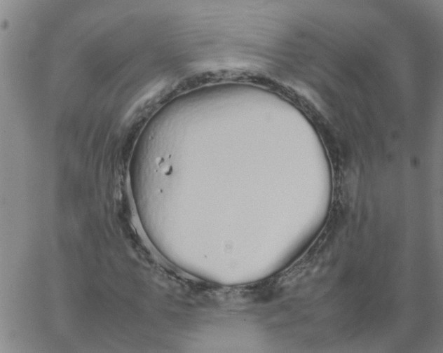 X0000066080967200603311931