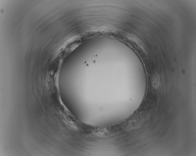 X0000066080968200603311931