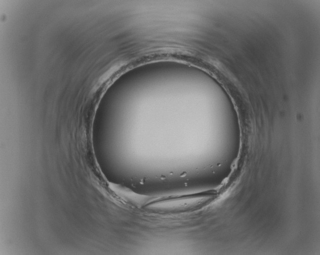 X0000066080969200603311931