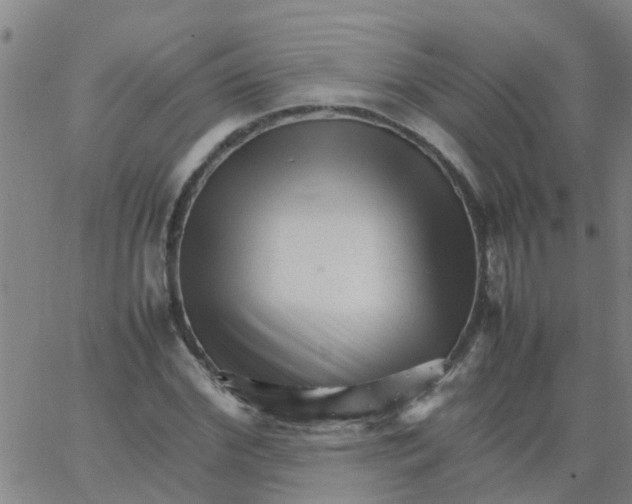 X0000066080972200603311931