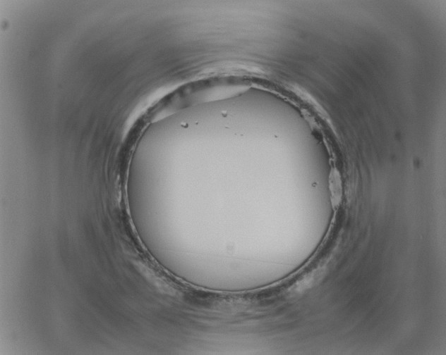 X0000066080973200603311931