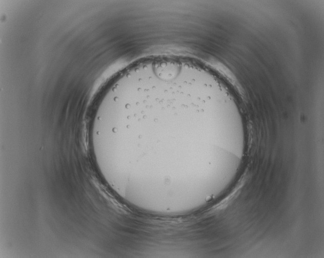 X0000066080974200603311931