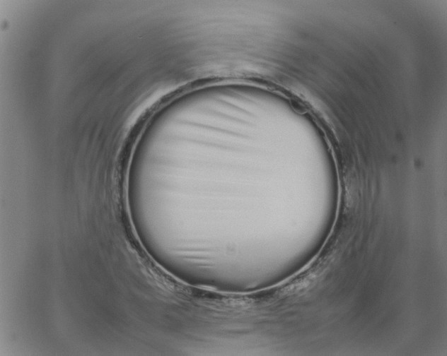 X0000066080975200603311931