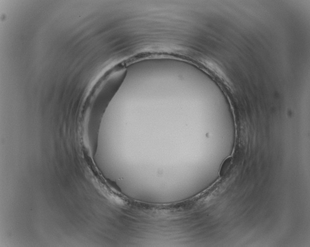 X0000066080976200603311931