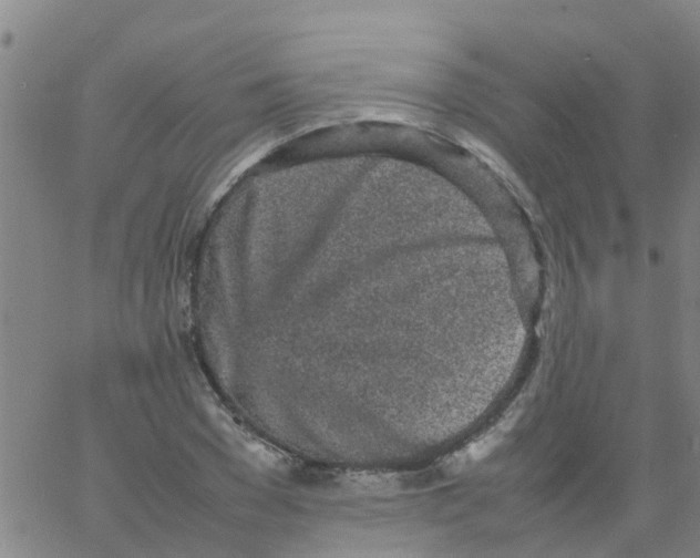 X0000066080977200603311931