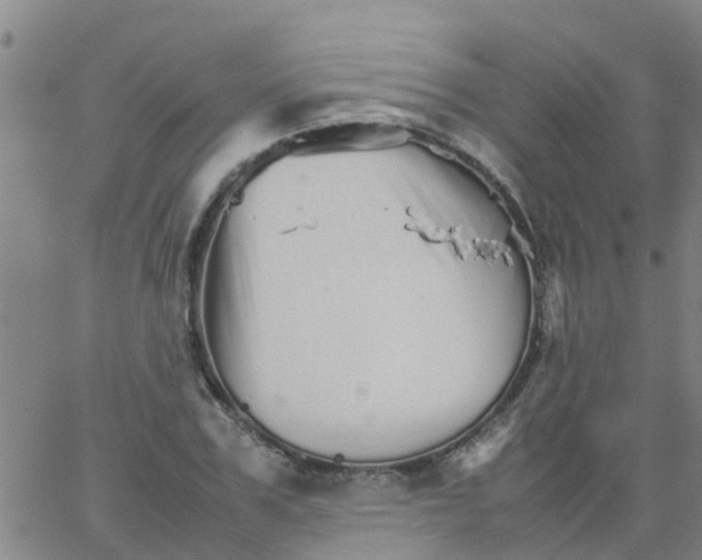 X0000066080979200603311931