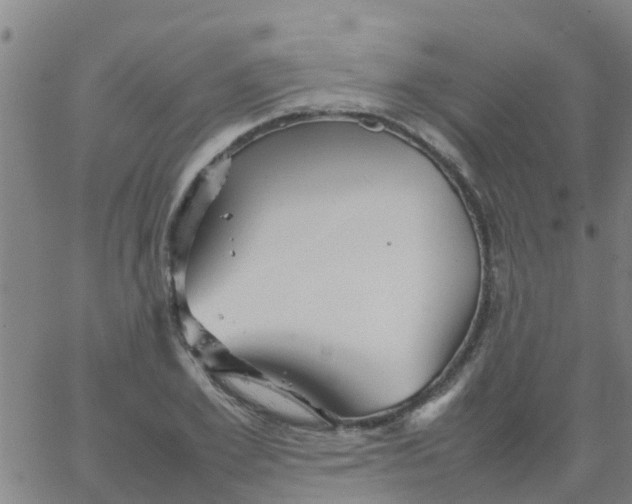 X0000066080981200603311931