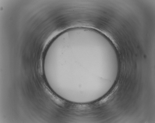 X0000066080982200603311931