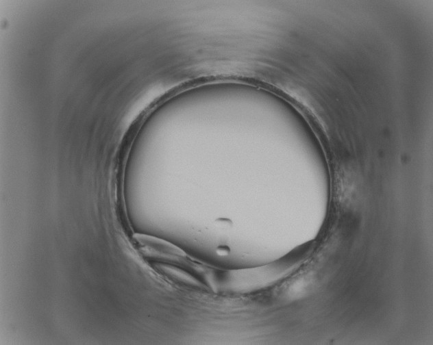 X0000066080983200603311931