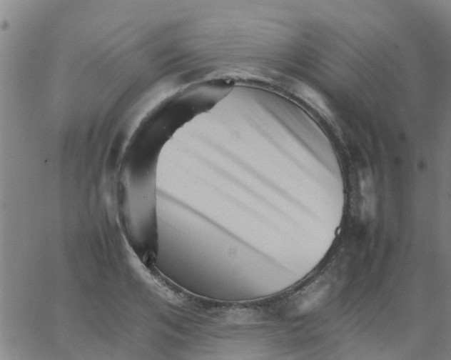 X0000066080984200603311931