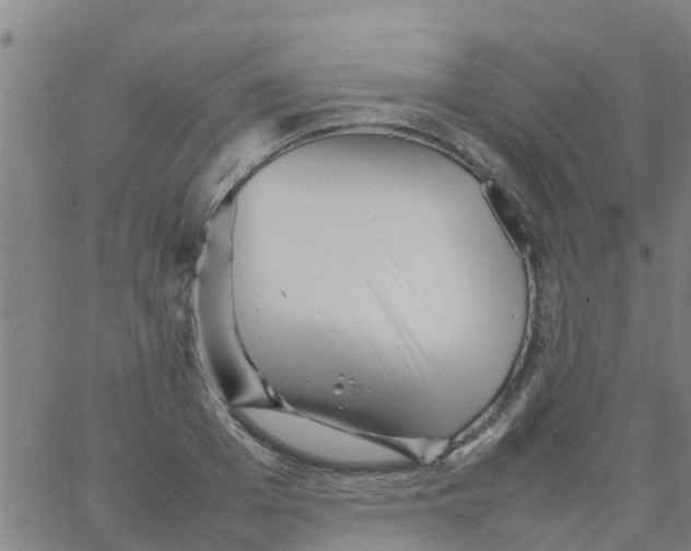 X0000066080985200603311931