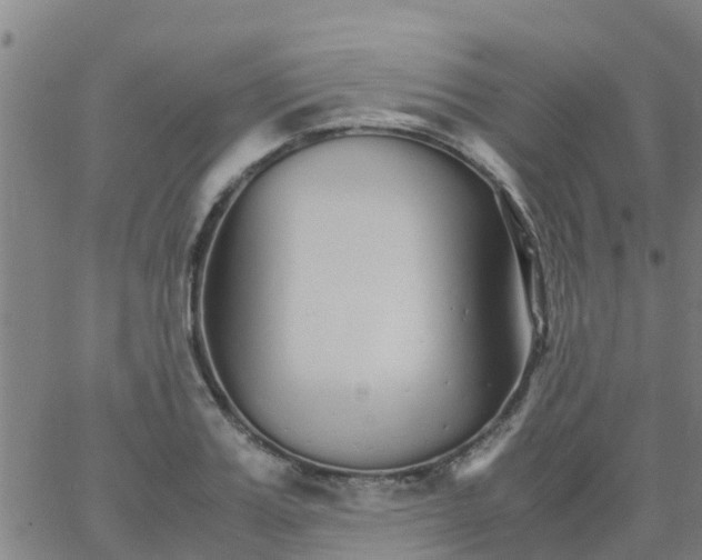 X0000066080987200603311931