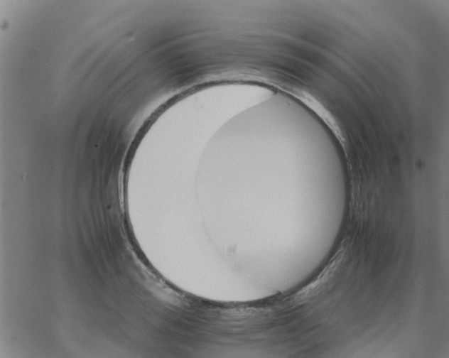 X0000066080988200603311931