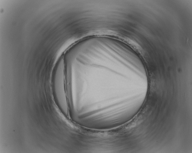 X0000066080990200603311931