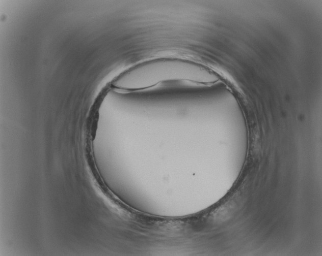 X0000066080991200603311931