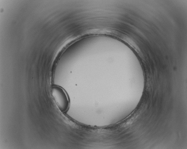 X0000066080992200603311931