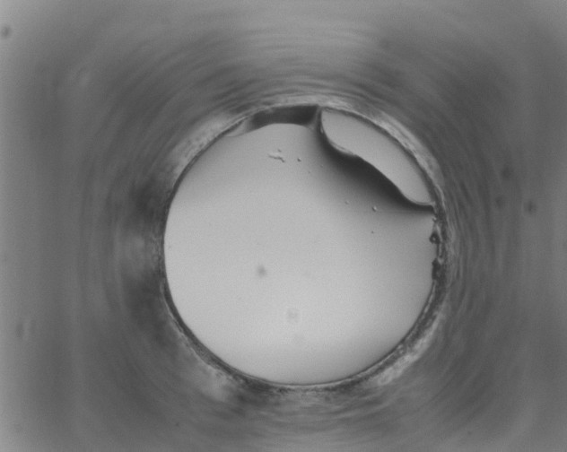 X0000066080993200603311931