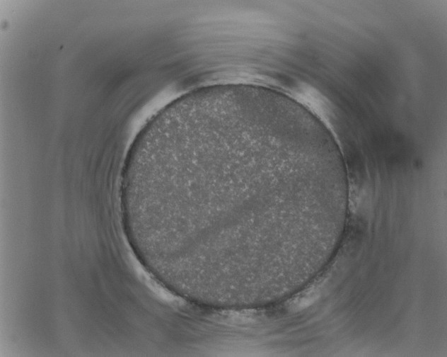 X0000066080995200603311931