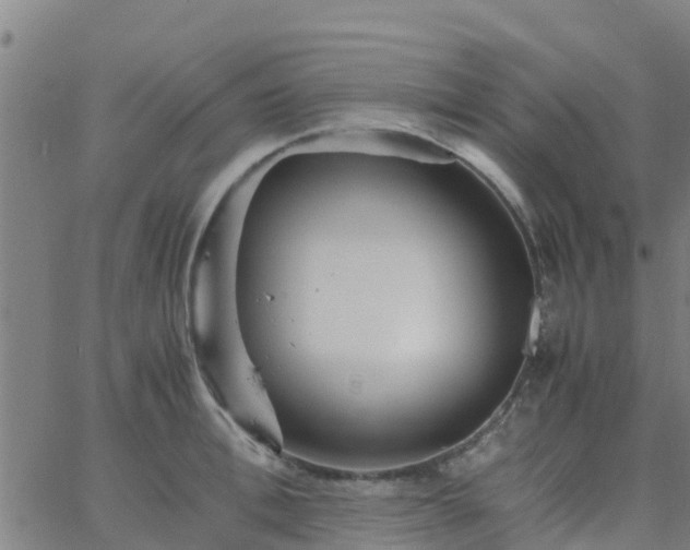 X0000066080996200603311931