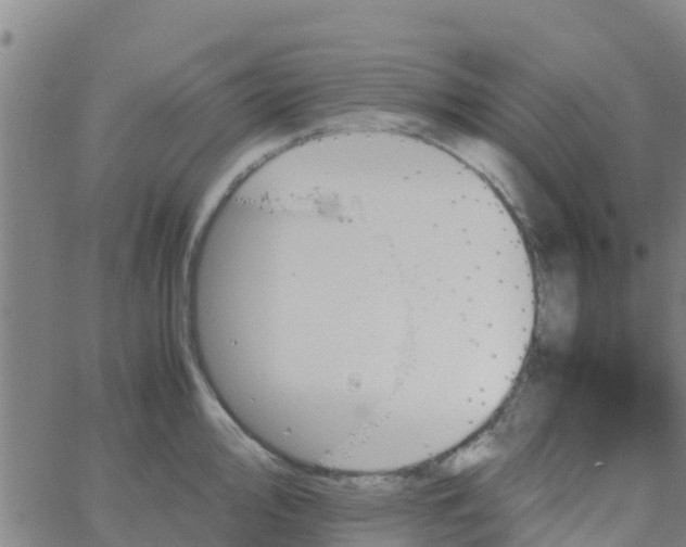 X0000066081000200603311930