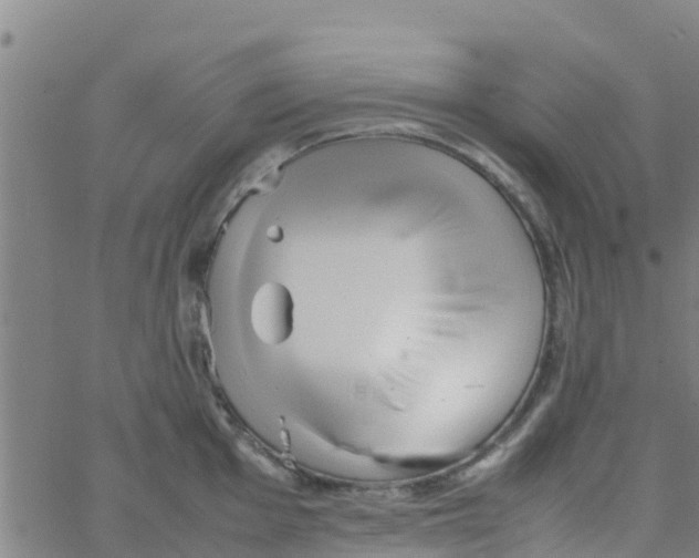 X0000066081001200603311930