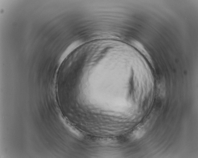 X0000066081002200603311930