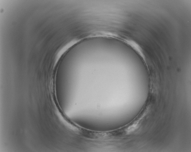 X0000066081003200603311930