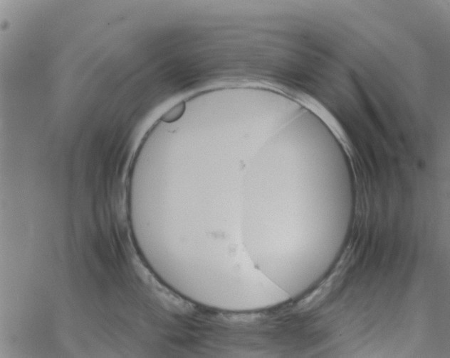 X0000066081004200603311930