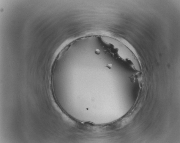 X0000066081005200603311930