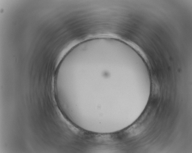 X0000066081006200603311930