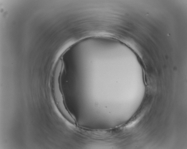 X0000066081007200603311930