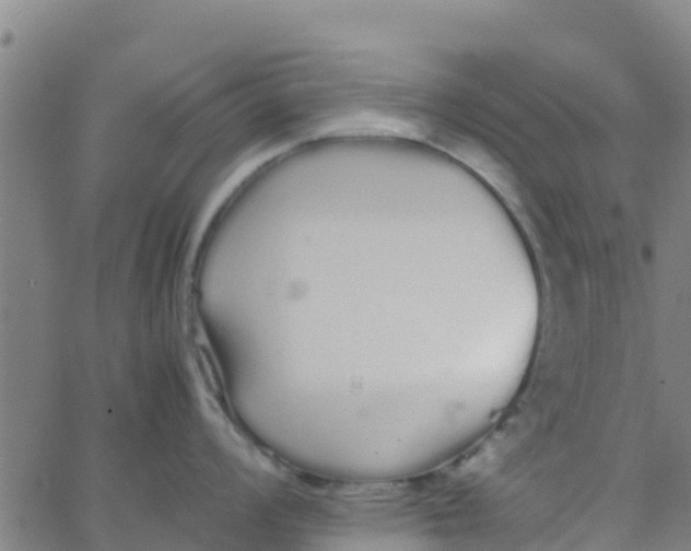 X0000066081008200603311930