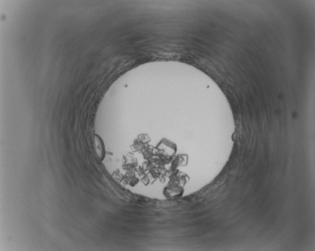 X0000066081009200603311929