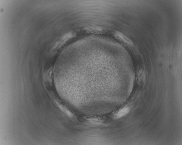 X0000066081010200603311929